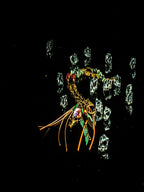 Tree Of Life - Charm Necklace